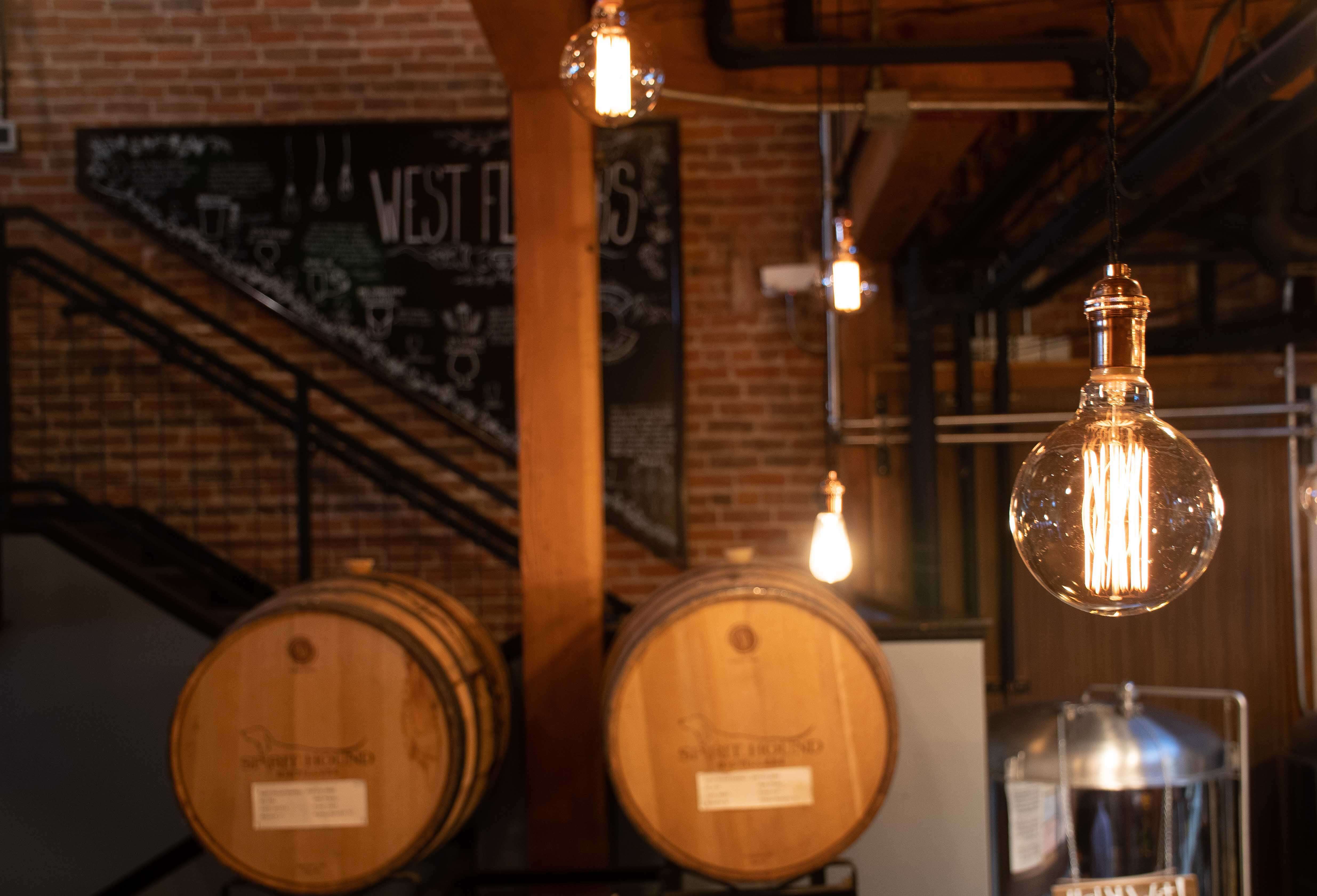 Interior edison bulbs