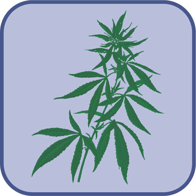 Docs Hemp Project Icon